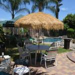BBQandPoolParty_0004 (August 01, 2015)